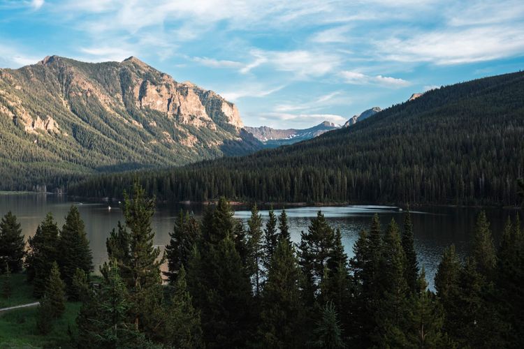 Custer Gallatin National Forest