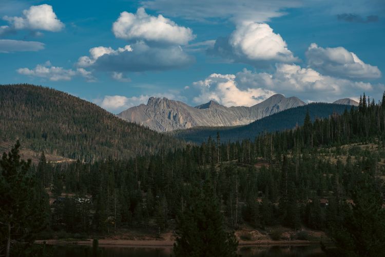 State Forest State Park