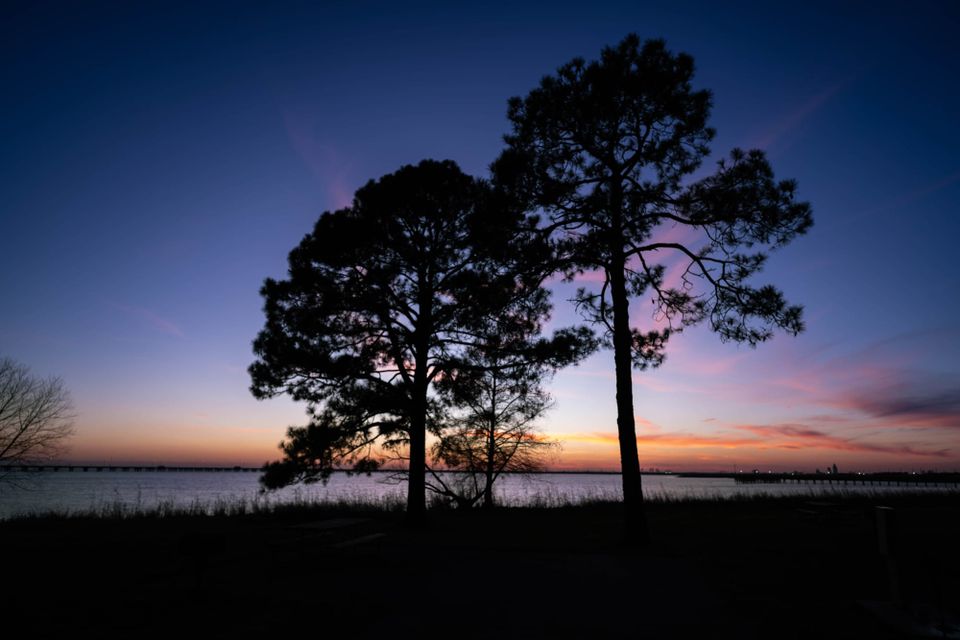 Meaher State Park