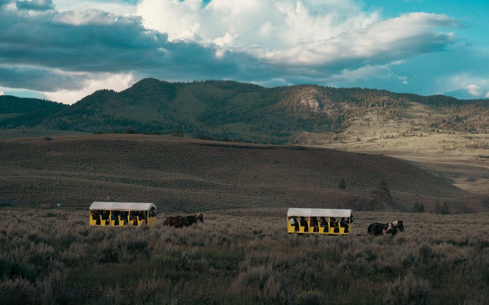 Yellowstone National Park | Learning the Landscape