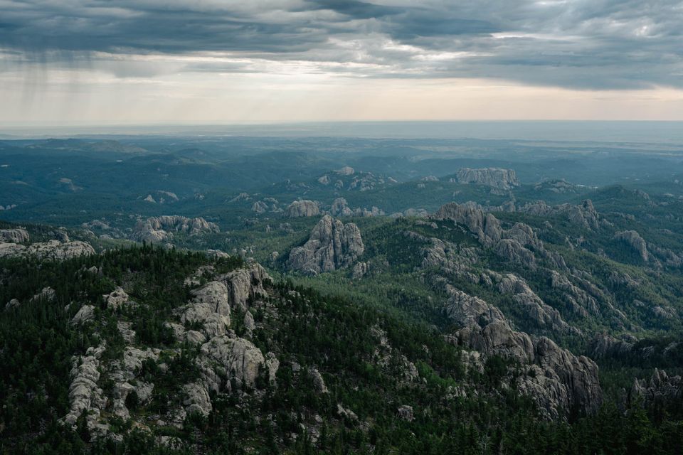 Black Hills National Forest