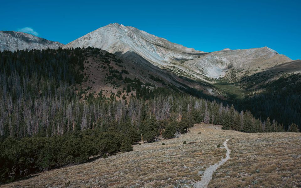The Collegiate Loop (2026)