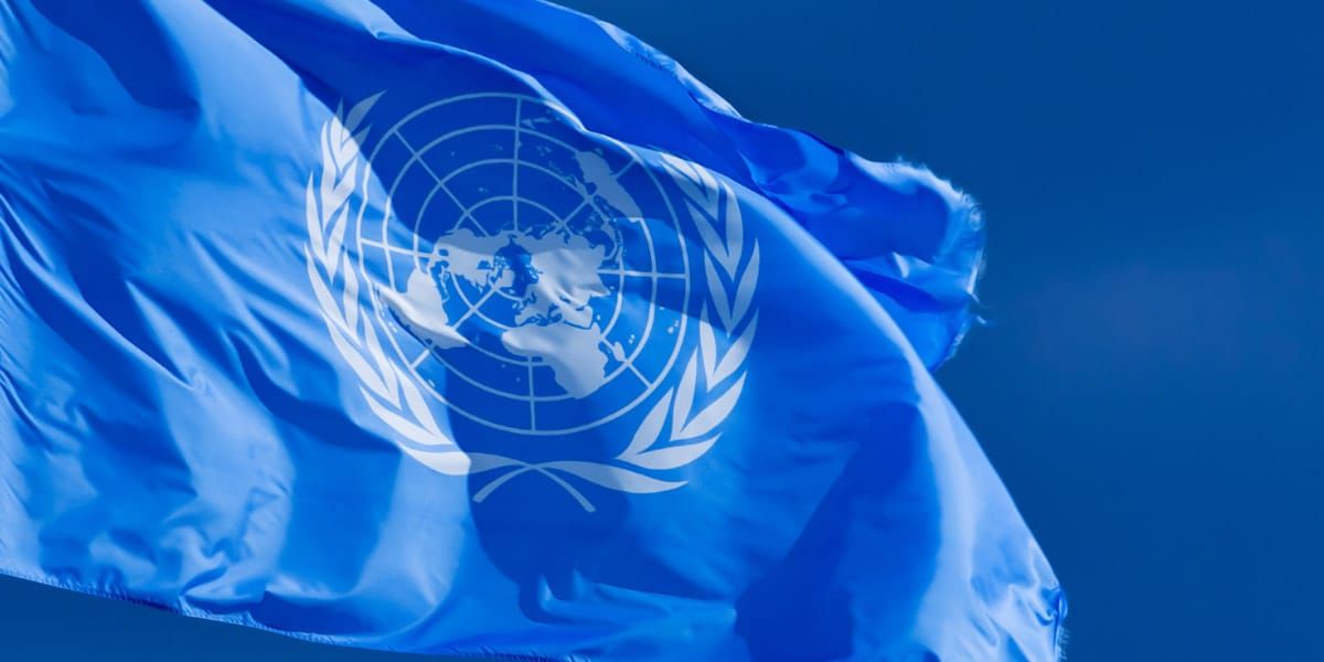 Deux expertes de l’ONU appellent la France à mieux protéger les enfants victimes présumées de violences sexuelles et les parents protecteurs pendant les procédures judiciaires.