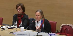 Le CESE présente son avis à la commission d'enquête « protection de l'enfance »