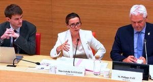 « La France a au moins vingt ans de retard » : un rapport parlementaire met en cause la prise en charge de l'autisme