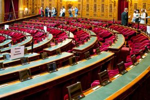 Avocat pour les enfants sous mesure d'assistance éducative : le Sénat valide le principe mais reporte son entrée en vigueur