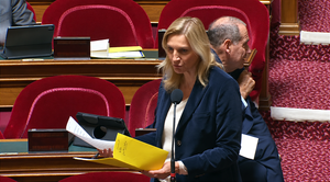 « Là où sont les enfants, il y a un risque de pédocriminalité » : le Sénat  muscle le contrôle d’honorabilité