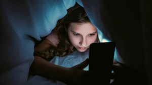 Un guide pour aider les professionnels à protéger les mineurs de « l’ exploitation sadique en ligne »