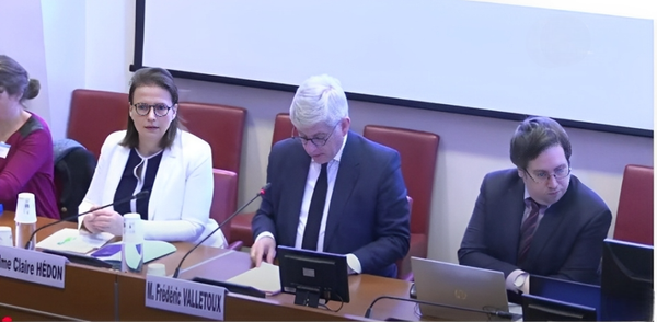 Protection de l'enfance : la Défenseure des droits insiste sur « la responsabilité de l'État »