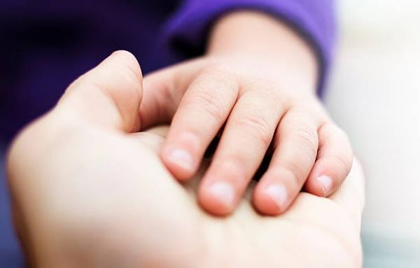 Attestation d’honorabilité : les candidats à l’adoption soumis au contrôle dès février
