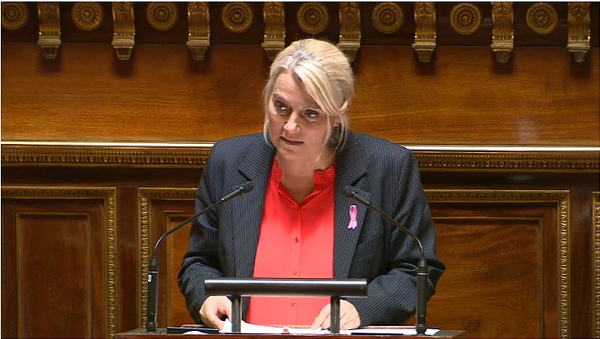 Enfants confiés à l’ASE : face aux sénateurs, Stéphanie Rist défend des parcours « sans rupture »
