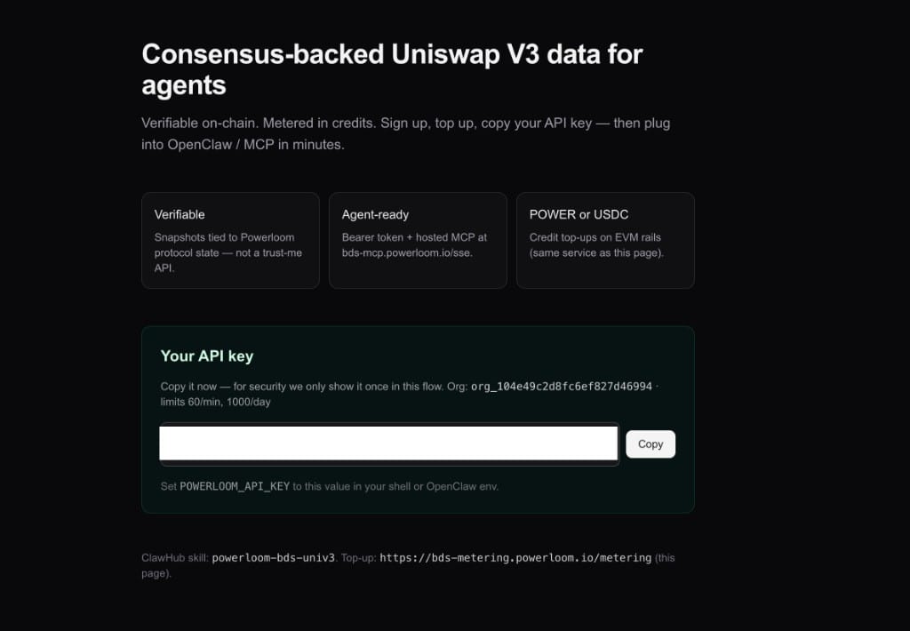 API key ready — copy and save