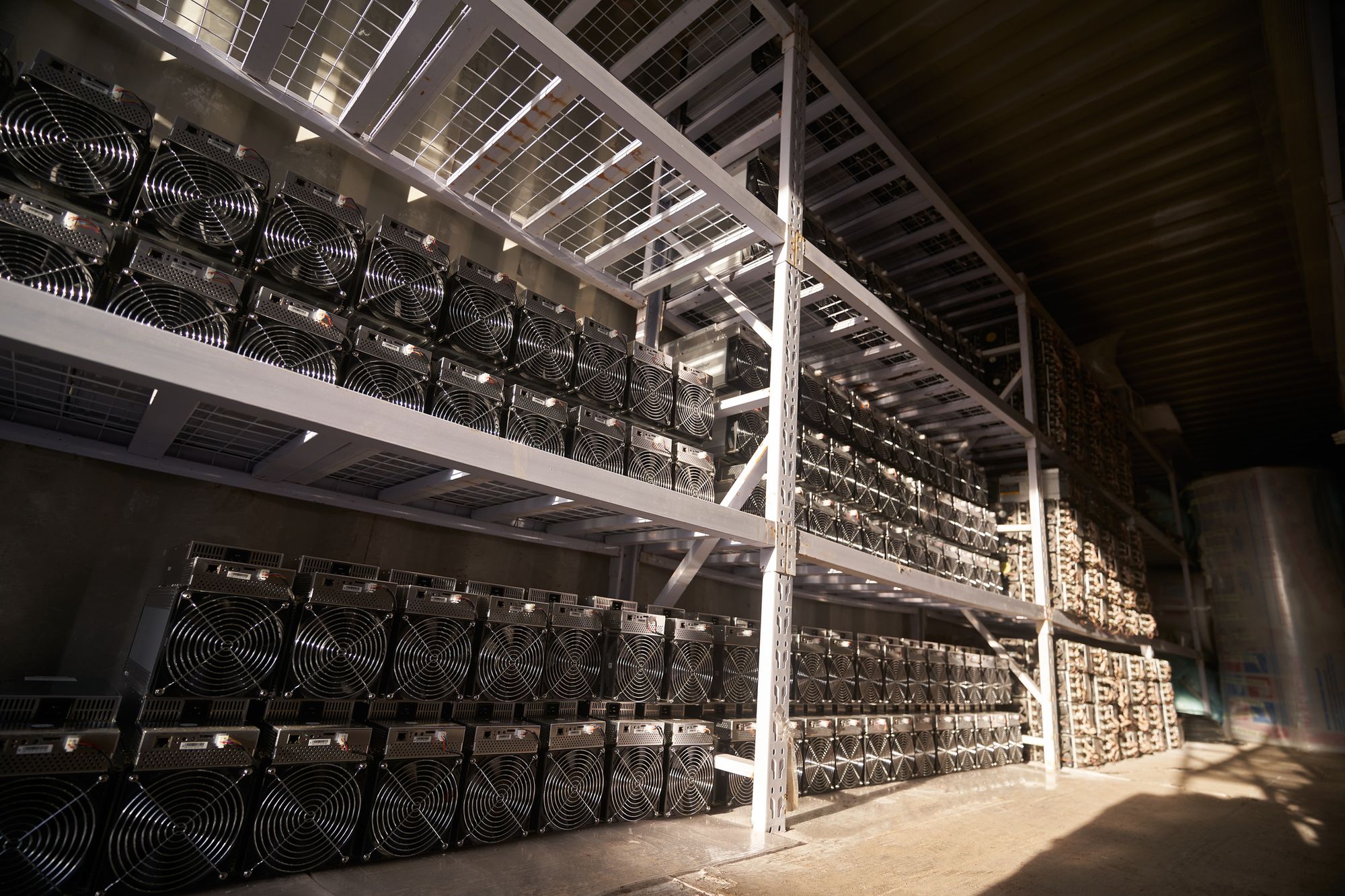 ASIC Miner Farm