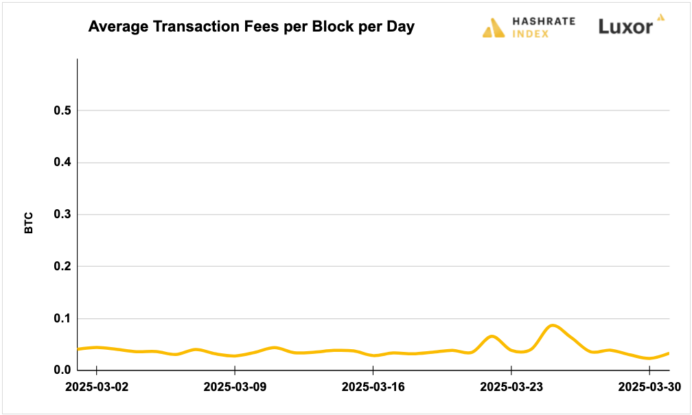 Luxor Bitcoin transaction fees August 12, 2024