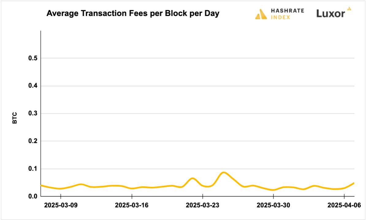 Luxor Bitcoin transaction fees August 12, 2024