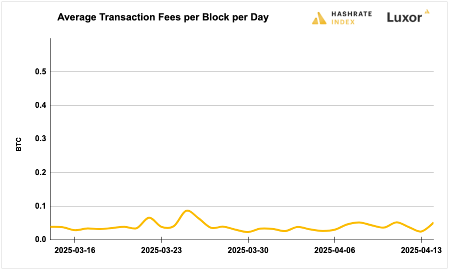 Luxor Bitcoin transaction fees August 12, 2024