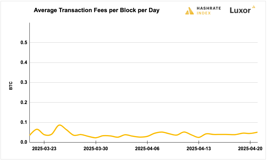 Luxor Bitcoin transaction fees August 12, 2024