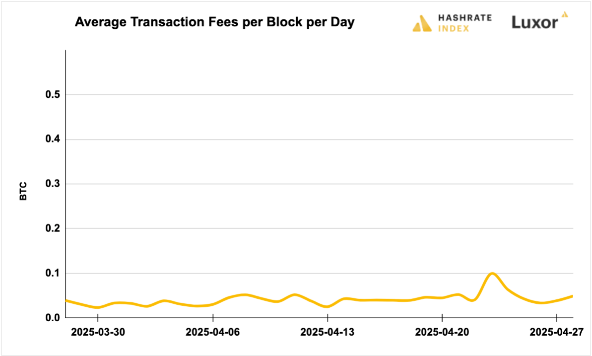 Luxor Bitcoin transaction fees August 12, 2024