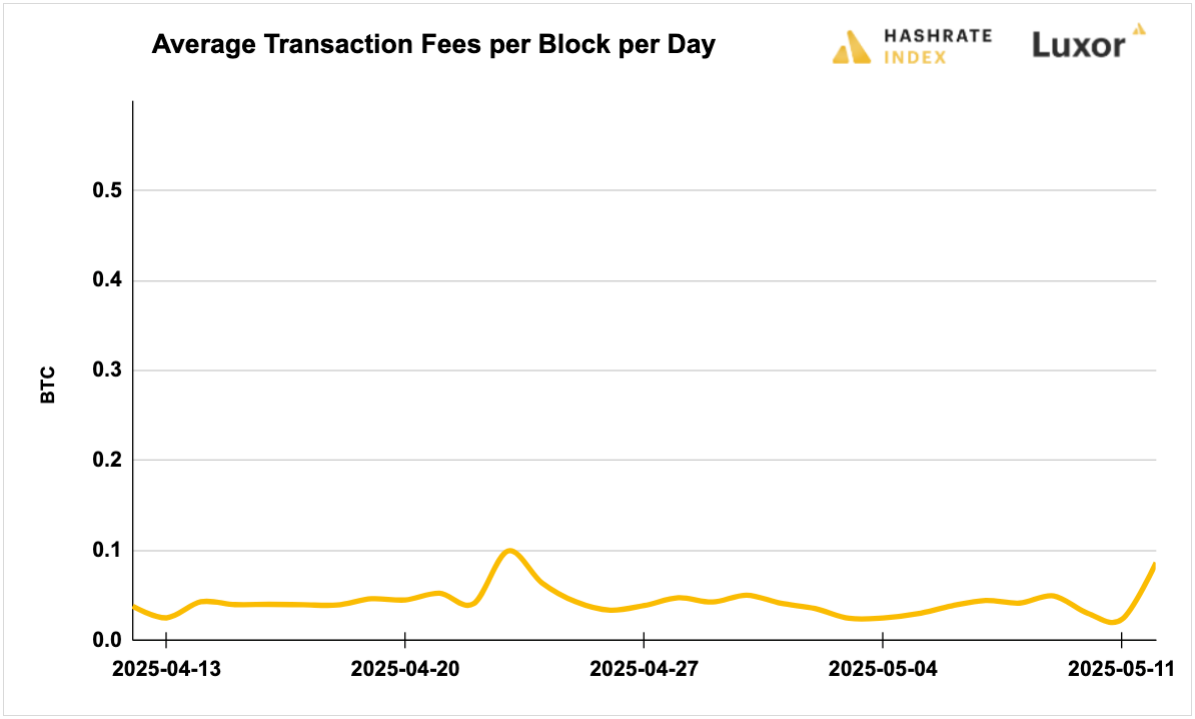 Luxor Bitcoin transaction fees August 12, 2024