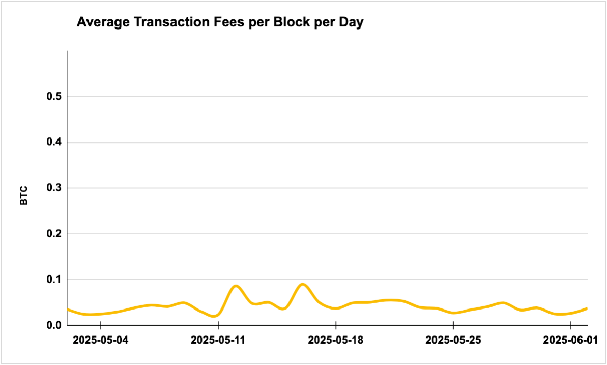 Luxor Bitcoin transaction fees August 12, 2024