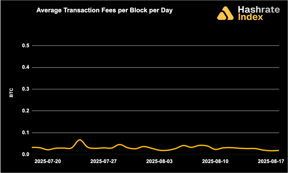 Line chart showing average Bitcoin transaction fees per block per day from May 30 to June 30, 2025, with a steady decline and range between ~0.01 to 0.10 BTC. Fee levels remained low and stable throughout the month.