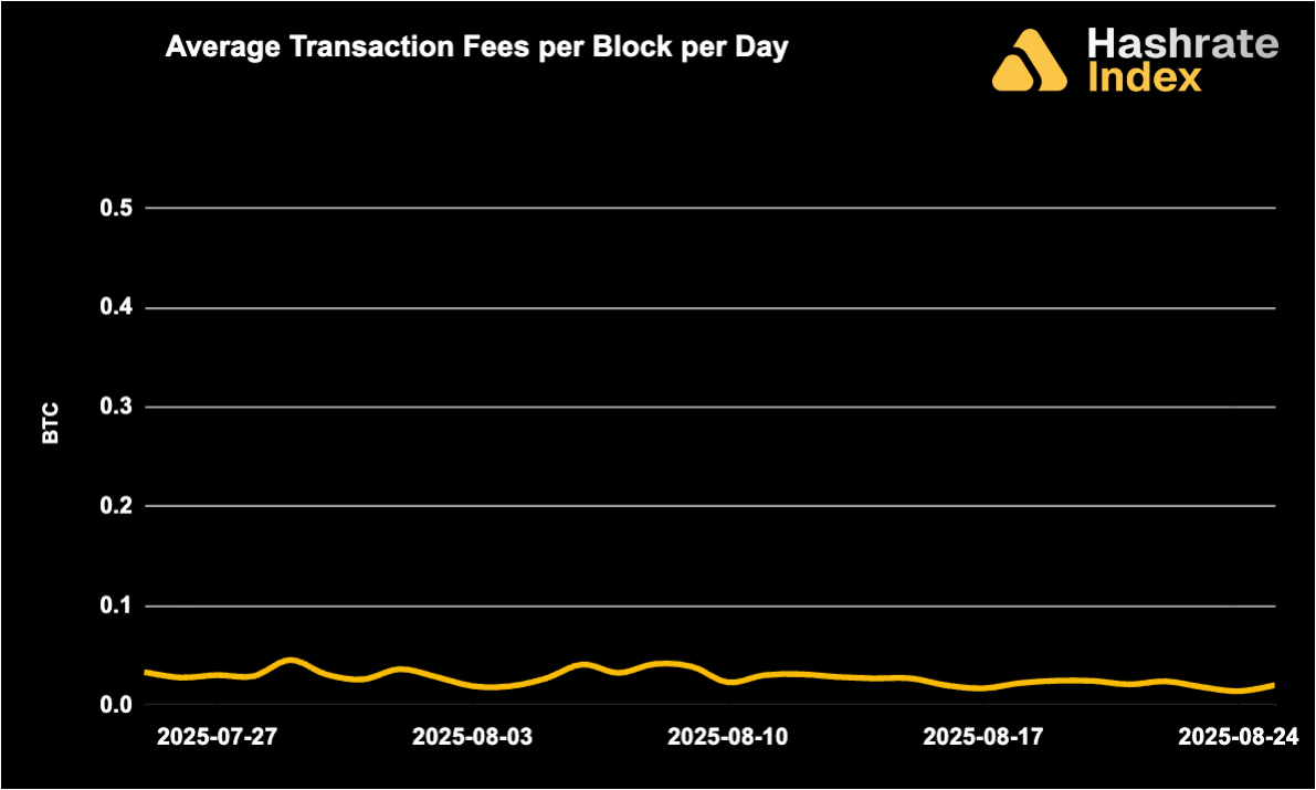 Line chart showing average Bitcoin transaction fees per block per day from May 30 to June 30, 2025, with a steady decline and range between ~0.01 to 0.10 BTC. Fee levels remained low and stable throughout the month.