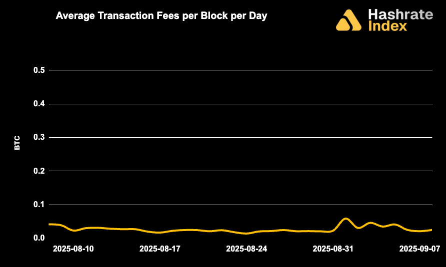 Line chart showing average Bitcoin transaction fees per block per day from May 30 to June 30, 2025, with a steady decline and range between ~0.01 to 0.10 BTC. Fee levels remained low and stable throughout the month.