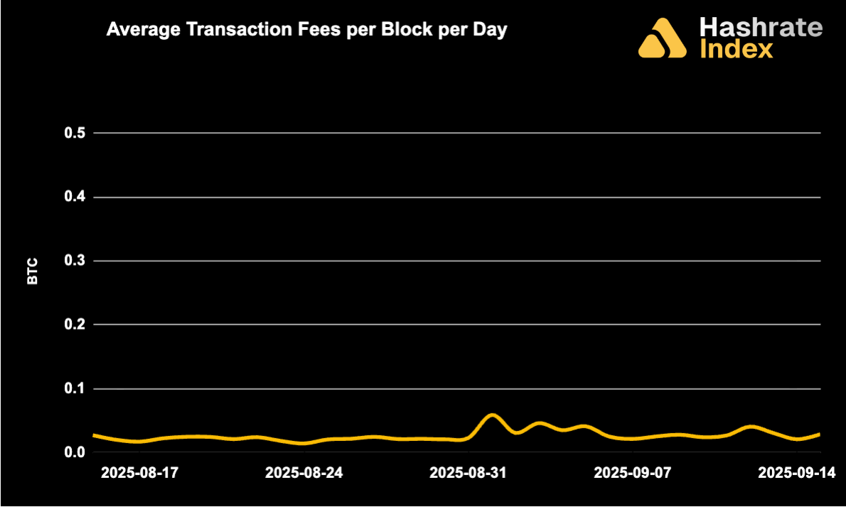 Line chart showing average Bitcoin transaction fees per block per day from May 30 to June 30, 2025, with a steady decline and range between ~0.01 to 0.10 BTC. Fee levels remained low and stable throughout the month.