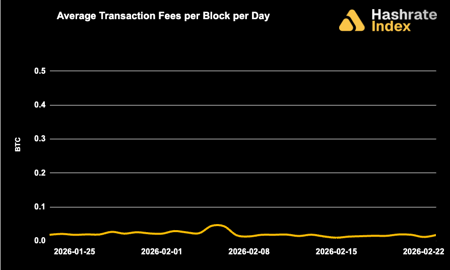 Line chart showing average Bitcoin transaction fees per block per day from May 30 to June 30, 2025, with a steady decline and range between ~0.01 to 0.10 BTC. Fee levels remained low and stable throughout the month.