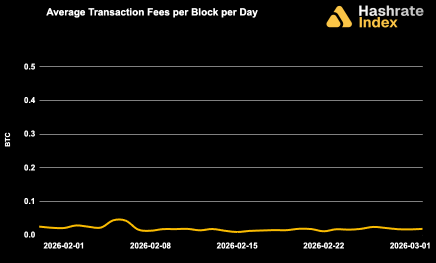 Line chart showing average Bitcoin transaction fees per block per day from May 30 to June 30, 2025, with a steady decline and range between ~0.01 to 0.10 BTC. Fee levels remained low and stable throughout the month.