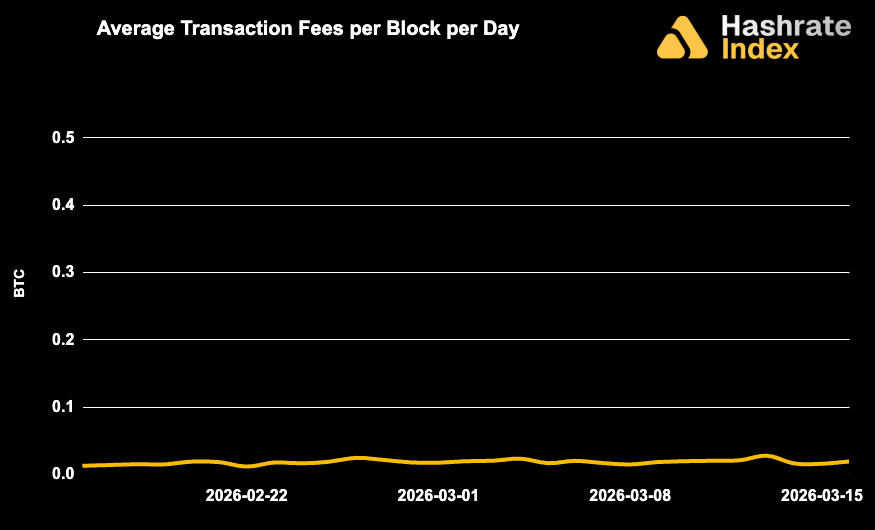 Line chart showing average Bitcoin transaction fees per block per day from May 30 to June 30, 2025, with a steady decline and range between ~0.01 to 0.10 BTC. Fee levels remained low and stable throughout the month.