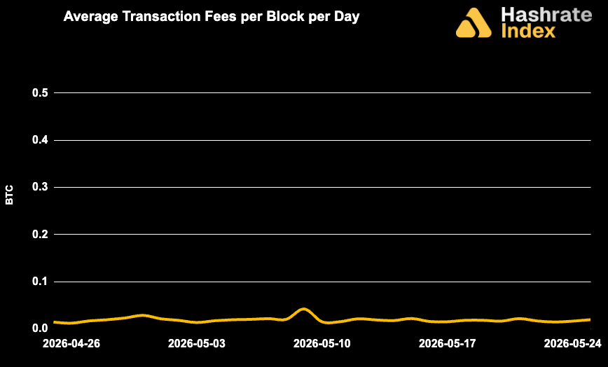 Line chart showing average Bitcoin transaction fees per block per day from May 30 to June 30, 2025, with a steady decline and range between ~0.01 to 0.10 BTC. Fee levels remained low and stable throughout the month.