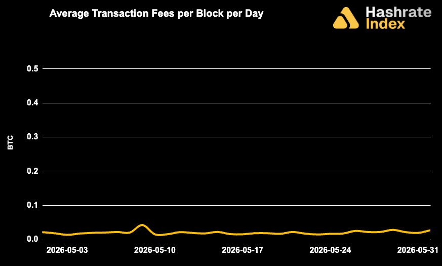 Line chart showing average Bitcoin transaction fees per block per day from May 30 to June 30, 2025, with a steady decline and range between ~0.01 to 0.10 BTC. Fee levels remained low and stable throughout the month.