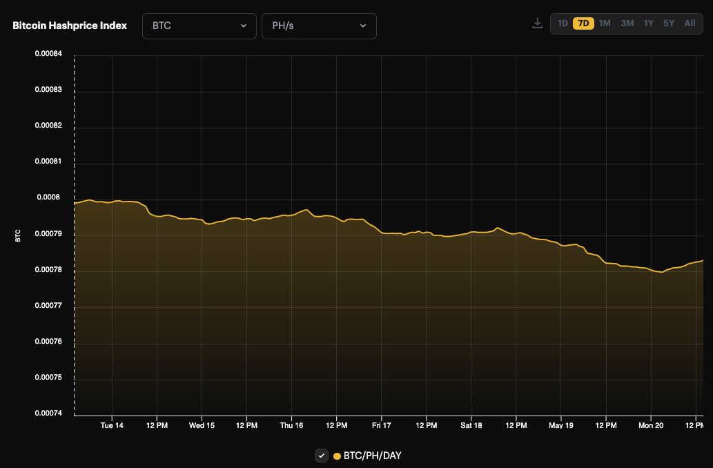 BTC hashprice, 1-week view (May 13-20, 2024)