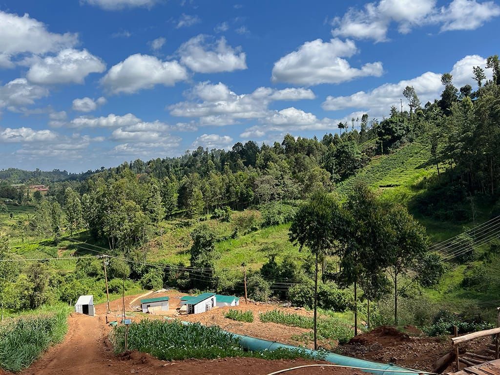 hydro minigrid-powered Bitcoin mine in Africa