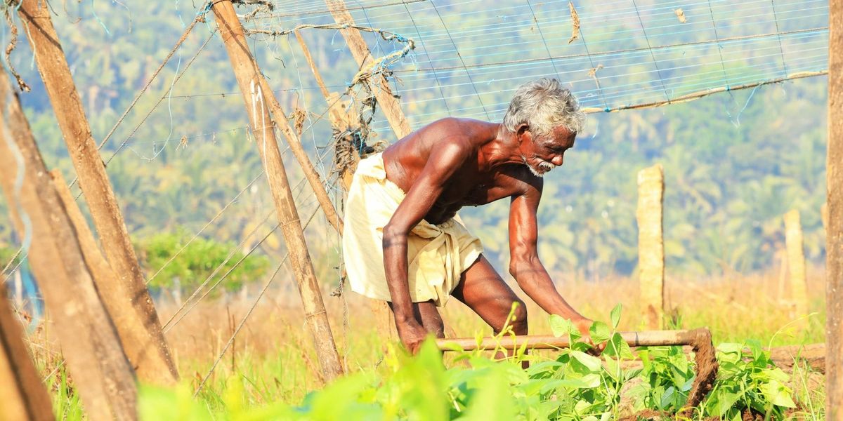 Death of a Farmer