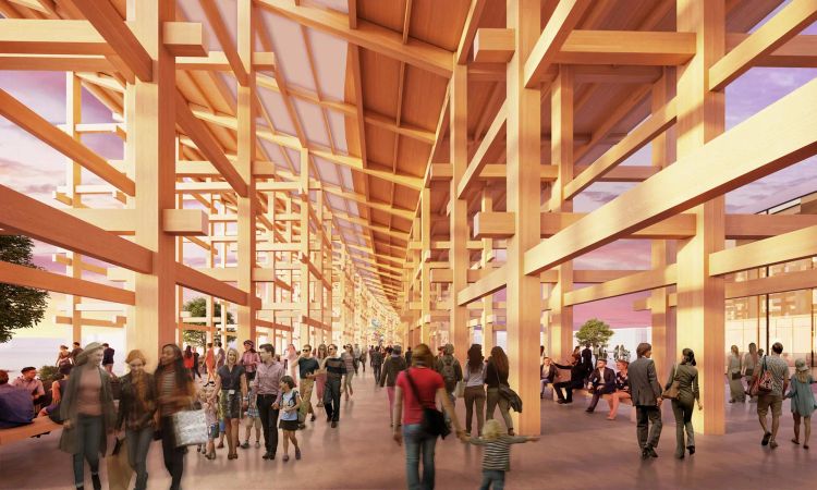 O dřevě - Expo 2025