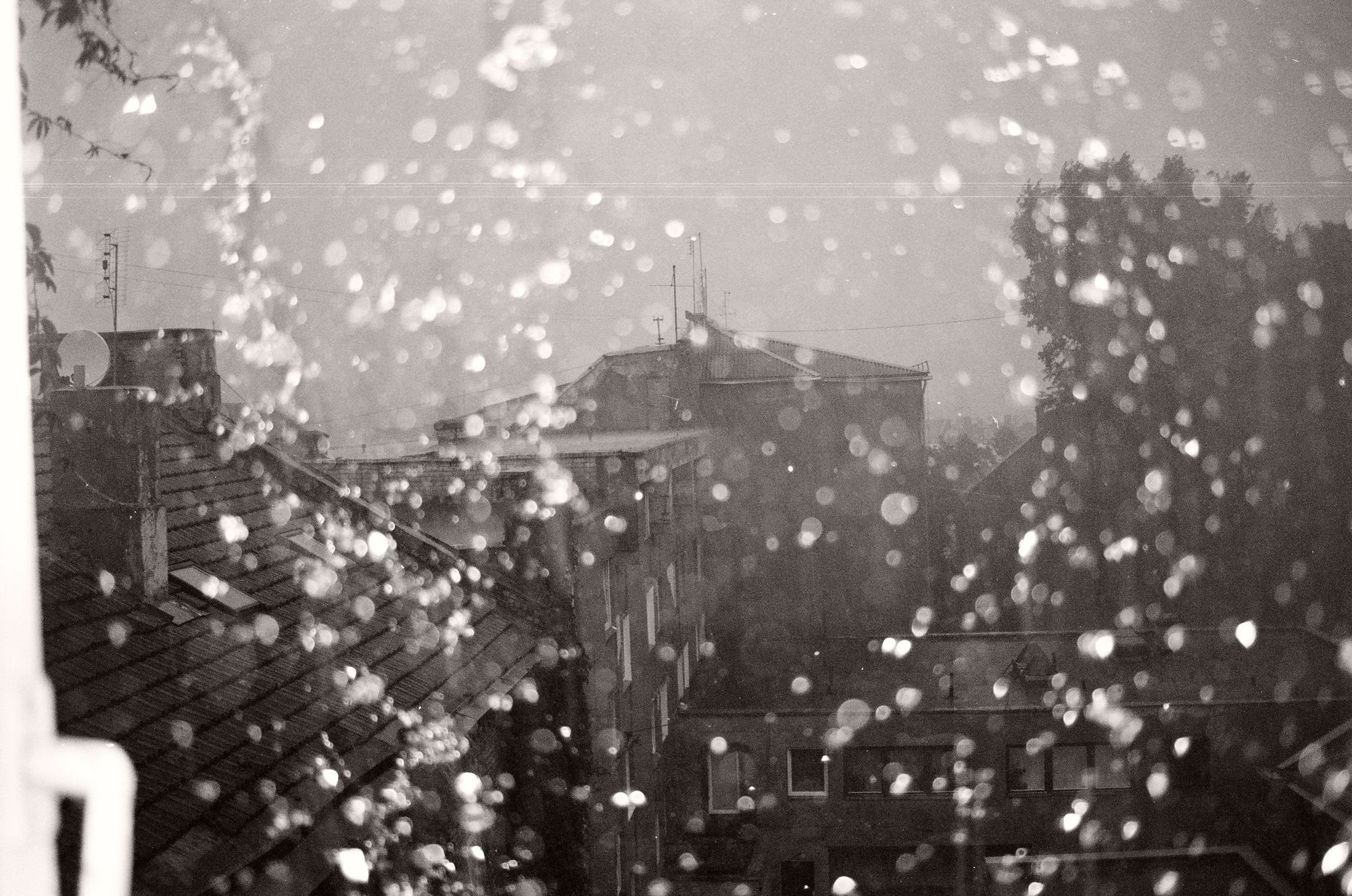 Tears in Rain and Whirlwinds
