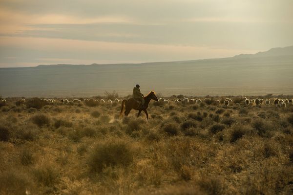 Steppe of the Spirit