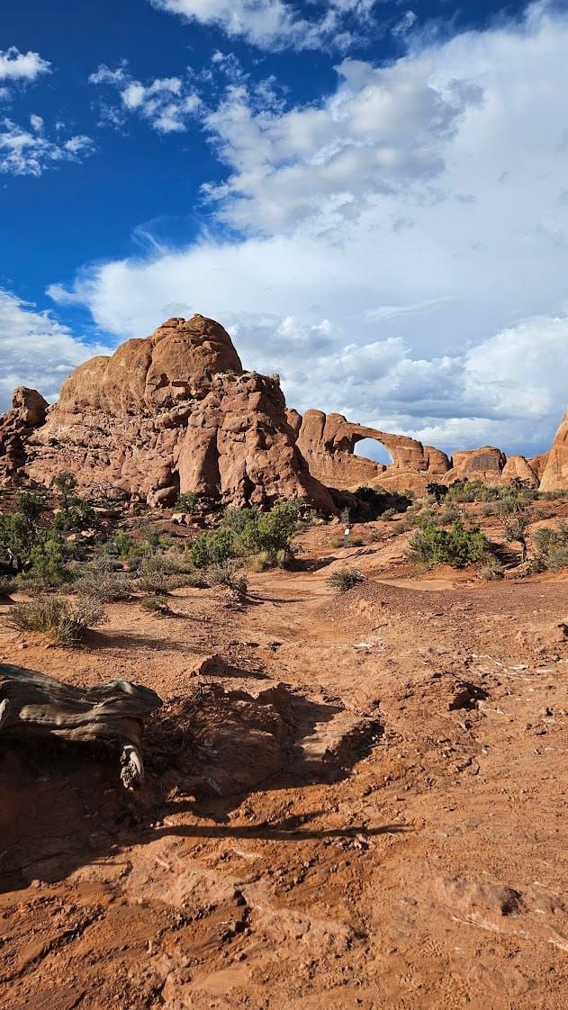 2024: A Year in Review