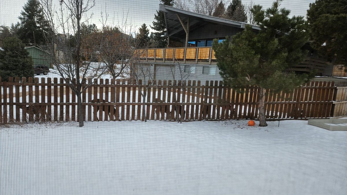 January Wrap-Up and Photodump