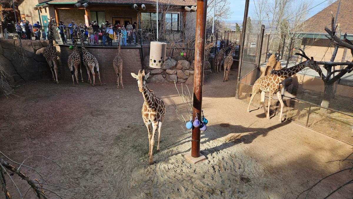 First February/February Firsts