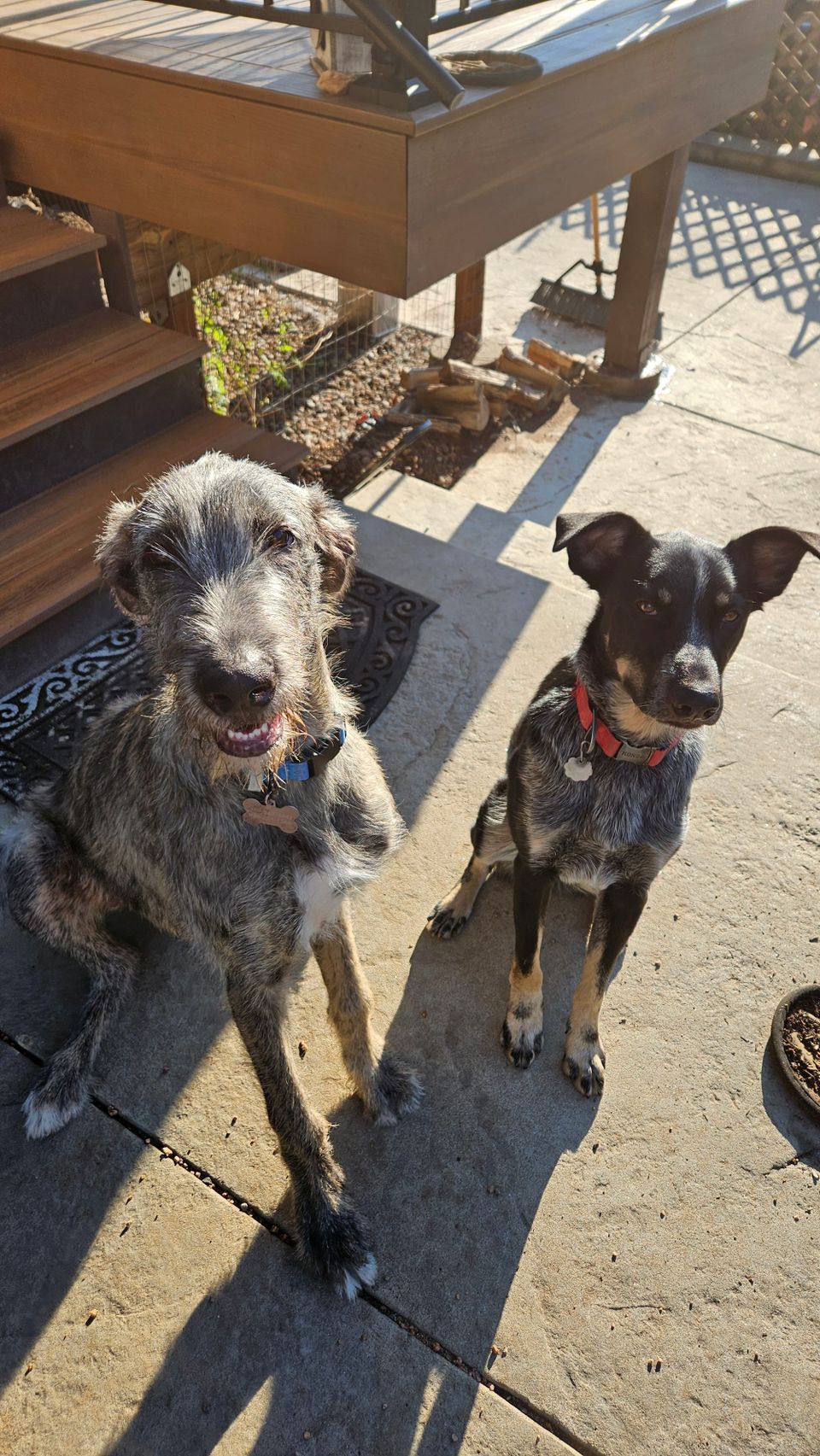 Our Favorites of 2025