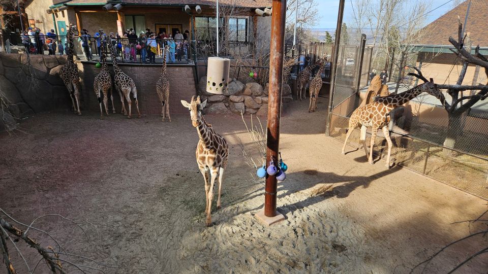 First February/February Firsts