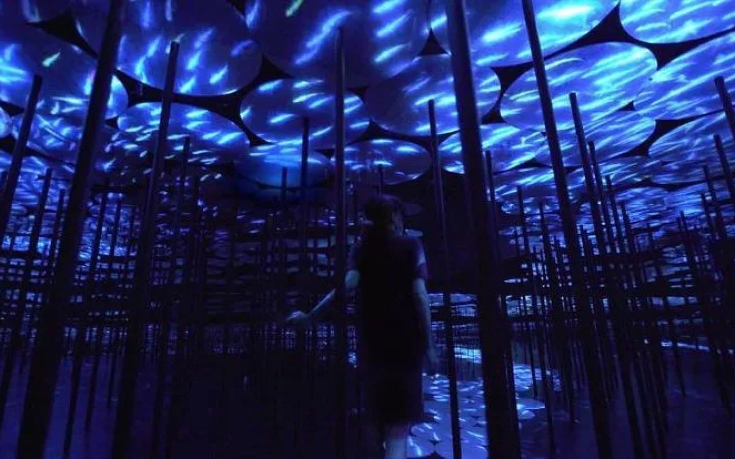 Cities in Transition – Mori Art Museum 2026