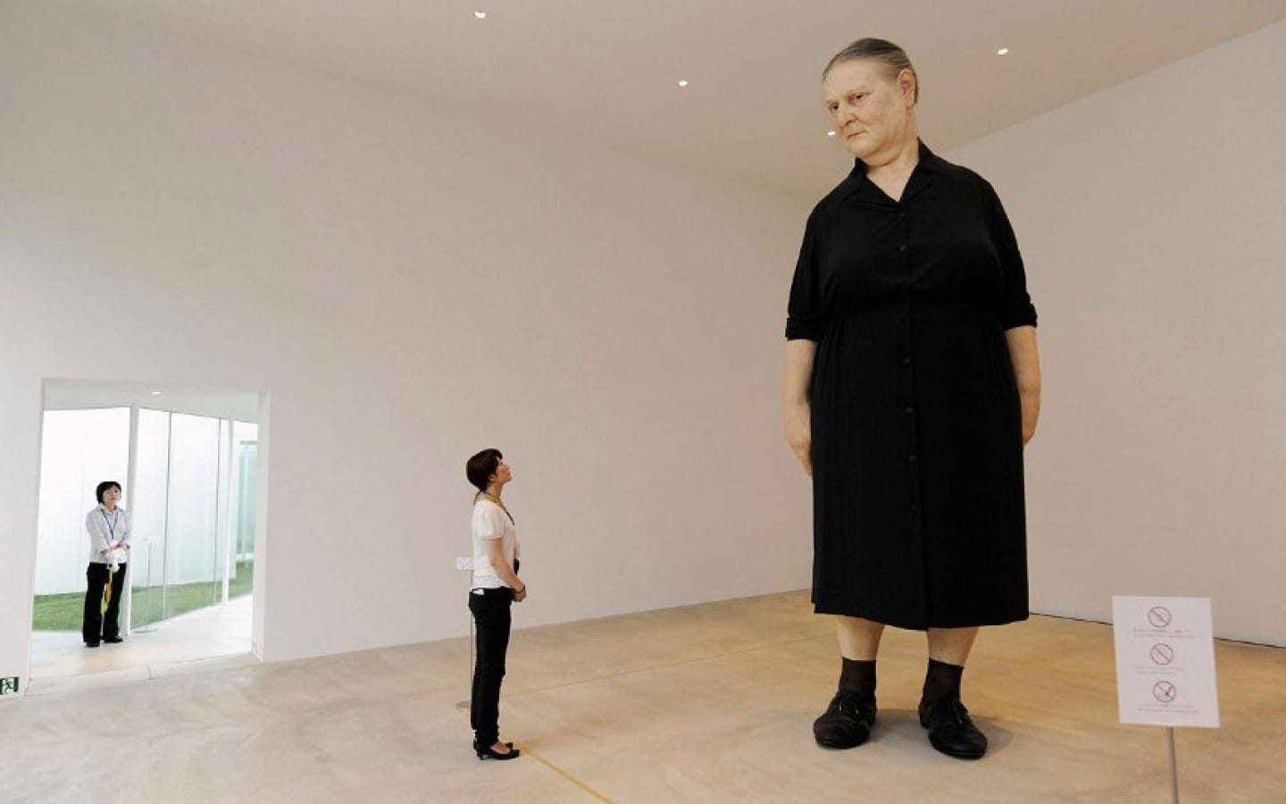 Ron Mueck: Sculpting the Human Condition