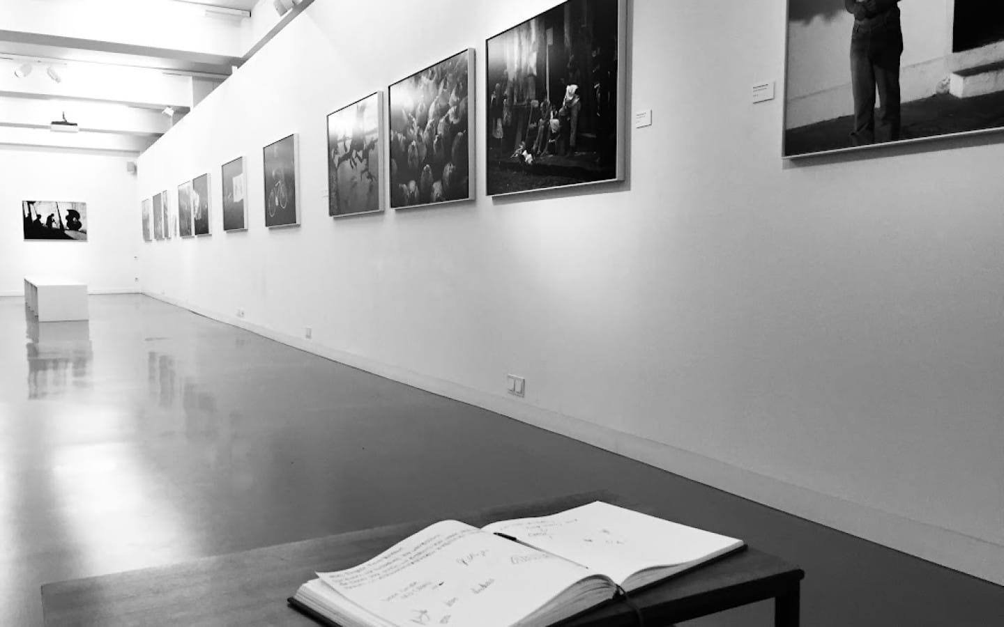 FOTOGRAFIE FORUM FRANKFURT 2026 – MAJOR PHOTO EXHIBITION