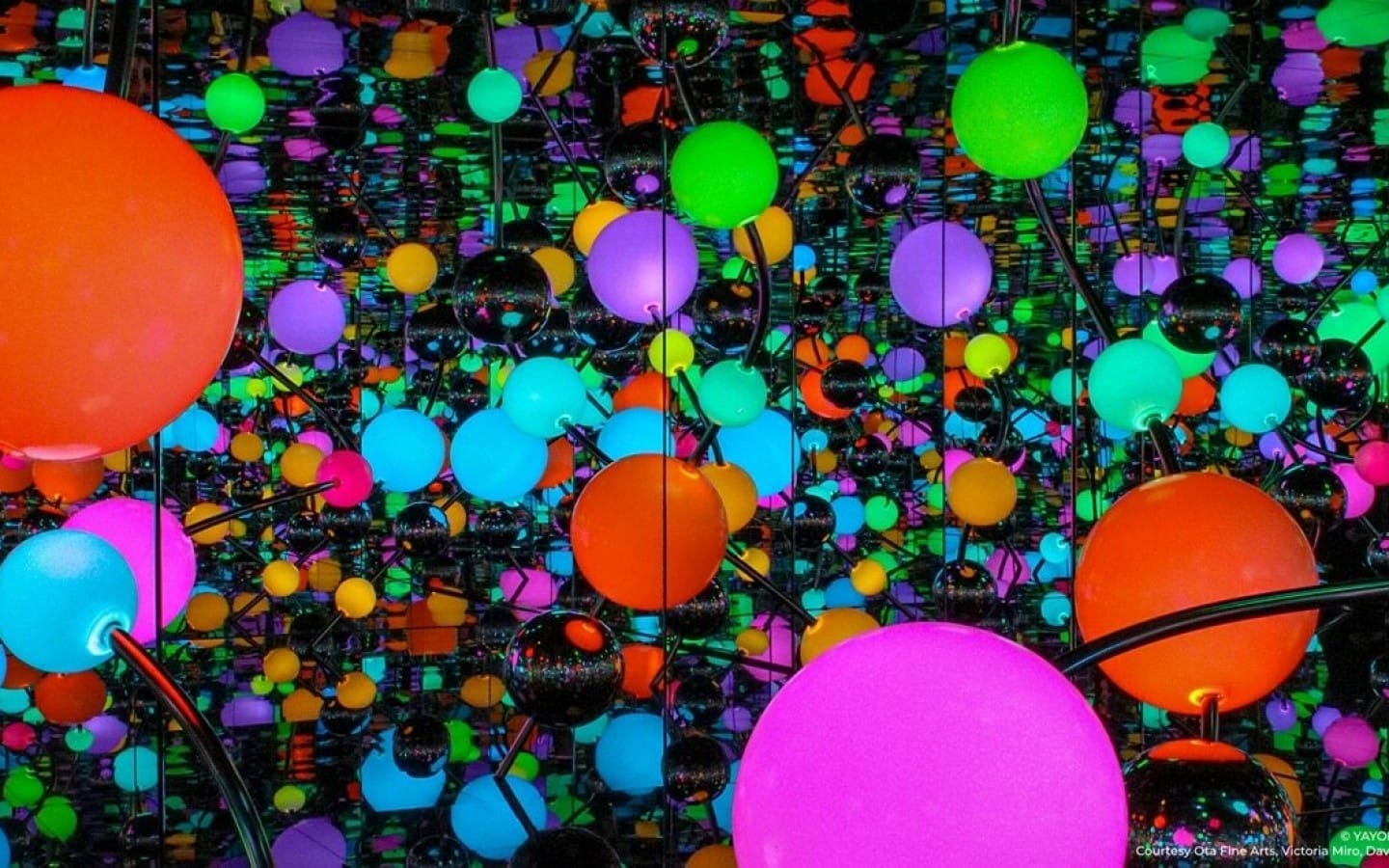 Timeless Reflections: The Art of Yayoi Kusama