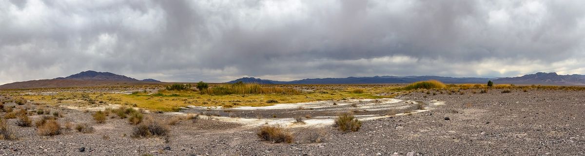 The Oblique Line: When Risk Doesn’t Belong to Anyone