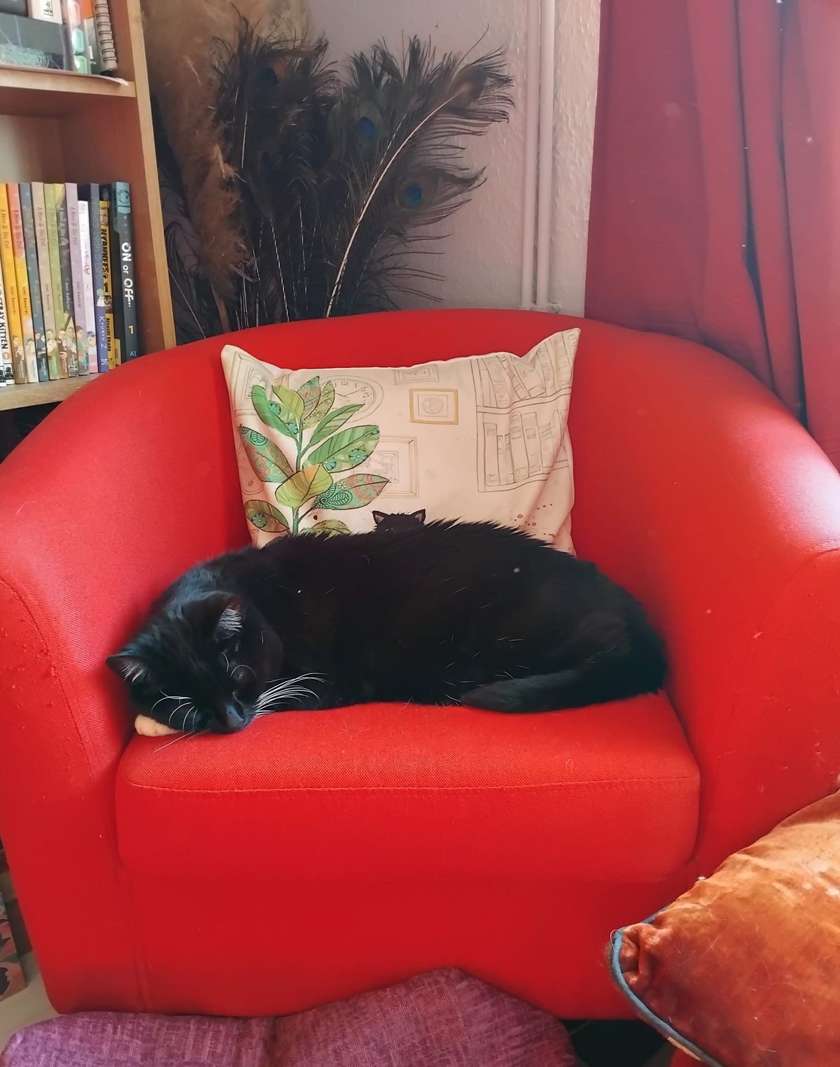 Farewell Pixie